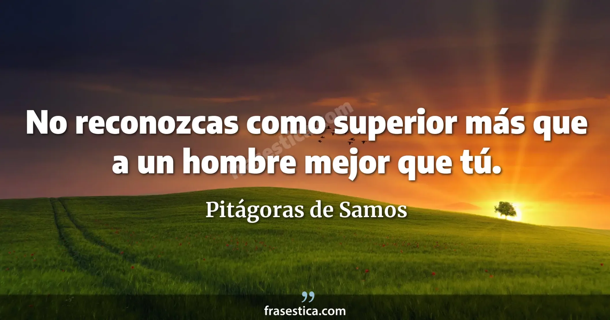 No reconozcas como superior más que a un hombre mejor que tú. - Pitágoras de Samos