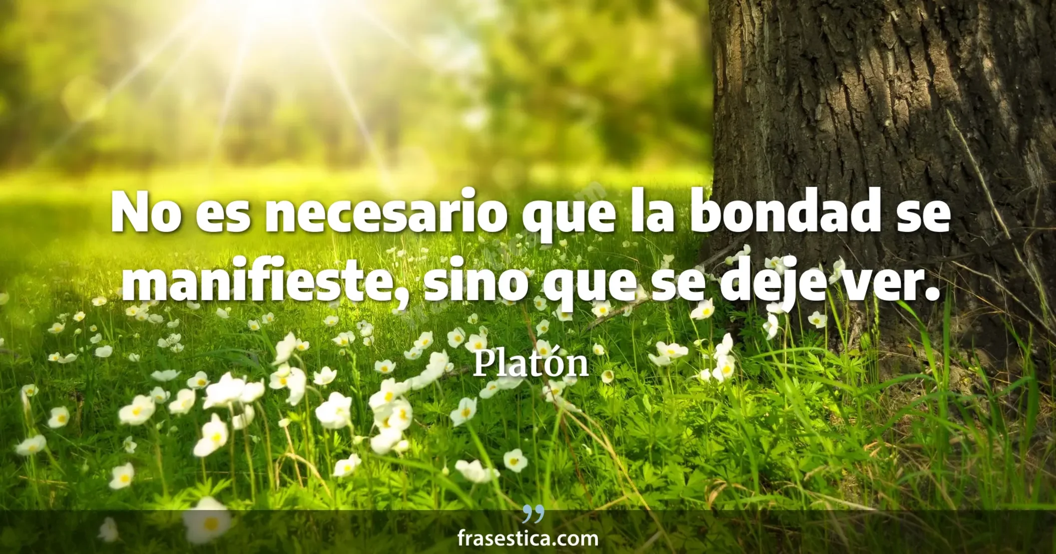 No es necesario que la bondad se manifieste, sino que se deje ver. - Platón