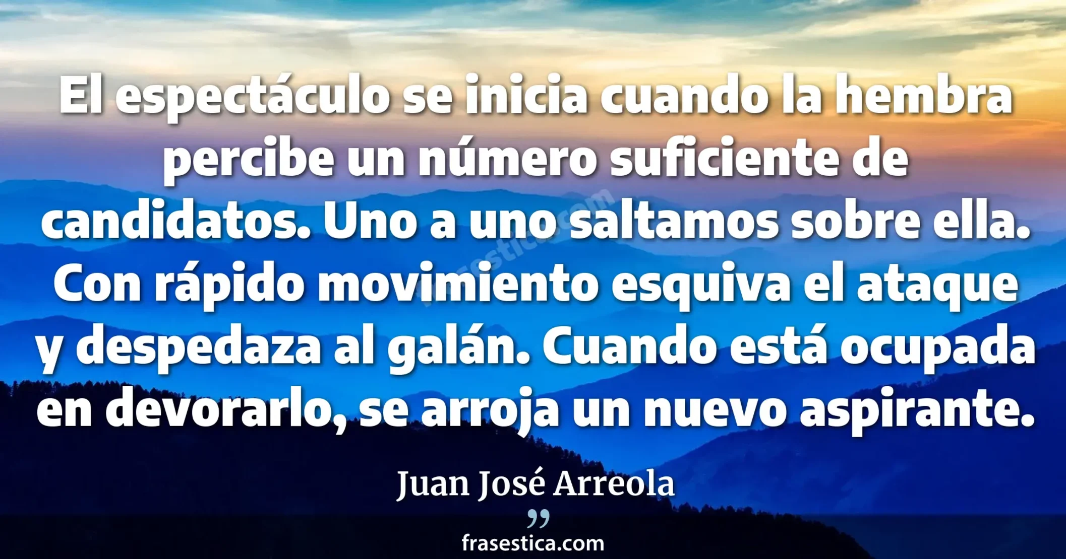 El espectáculo se inicia cuando la hembra percibe un número suficiente de candidatos. Uno a uno saltamos sobre ella. Con rápido movimiento esquiva el ataque y despedaza al galán. Cuando está ocupada en devorarlo, se arroja un nuevo aspirante. - Juan José Arreola