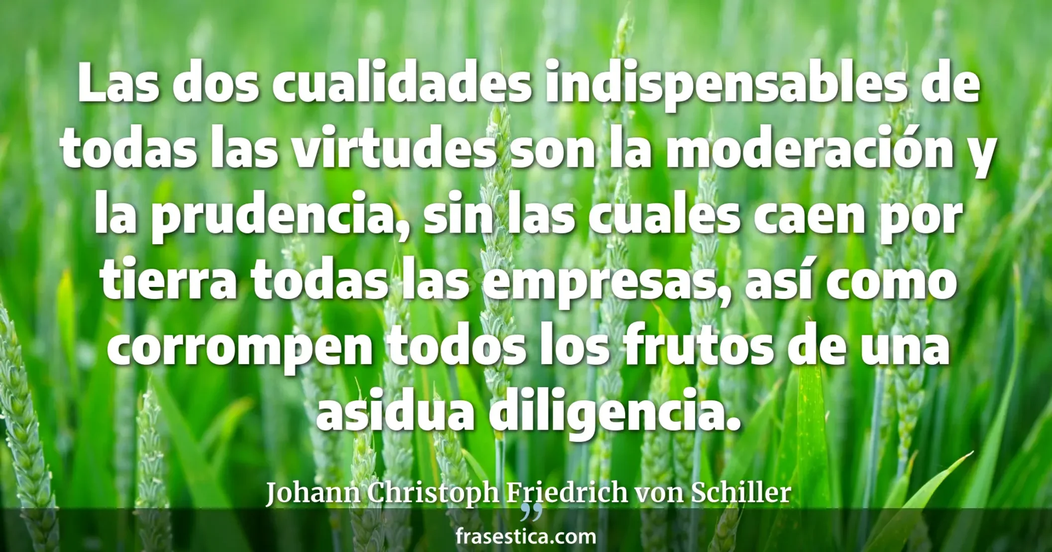 Las dos cualidades indispensables de todas las virtudes son la moderación y la prudencia, sin las cuales caen por tierra todas las empresas, así como corrompen todos los frutos de una asidua diligencia. - Johann Christoph Friedrich von Schiller
