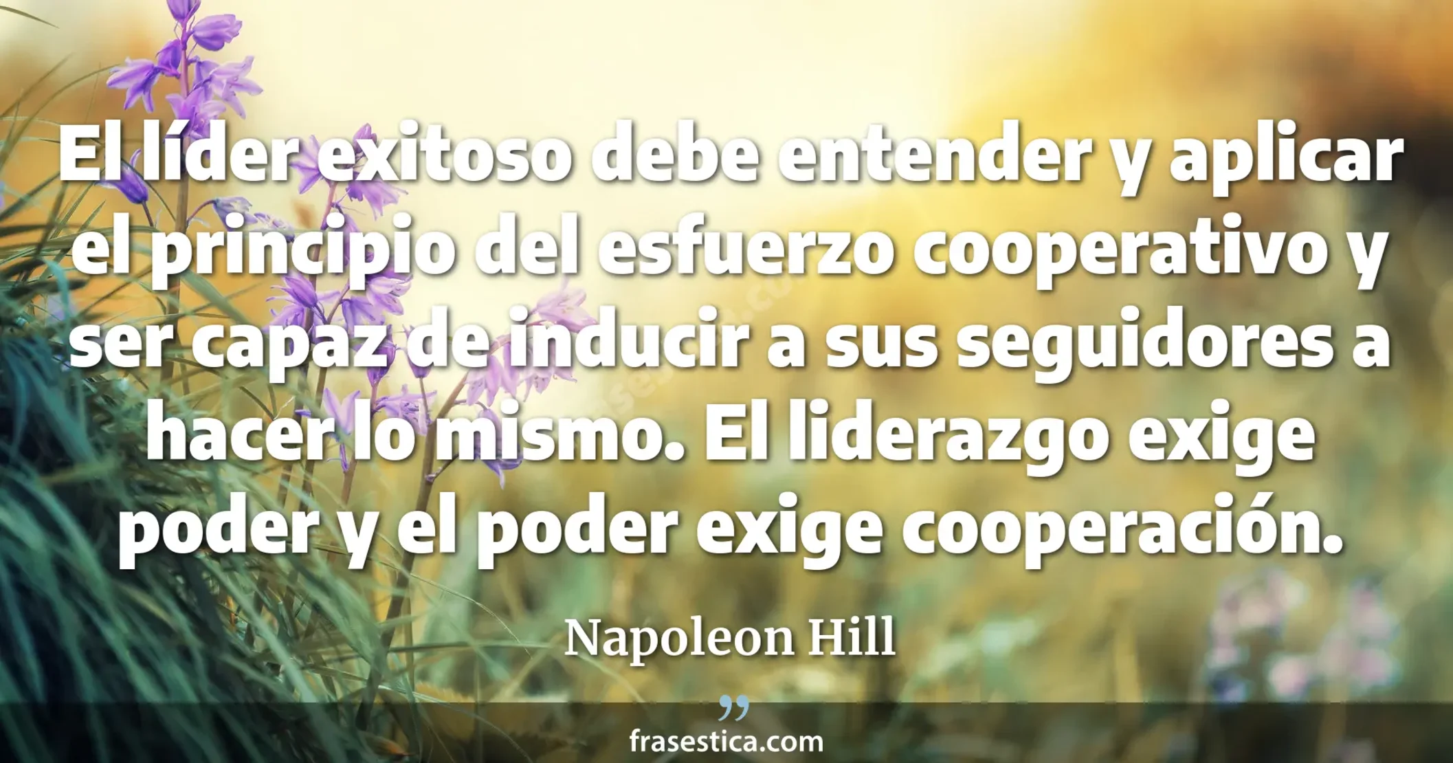 El líder exitoso debe entender y aplicar el principio del esfuerzo cooperativo y ser capaz de inducir a sus seguidores a hacer lo mismo. El liderazgo exige poder y el poder exige cooperación. - Napoleon Hill