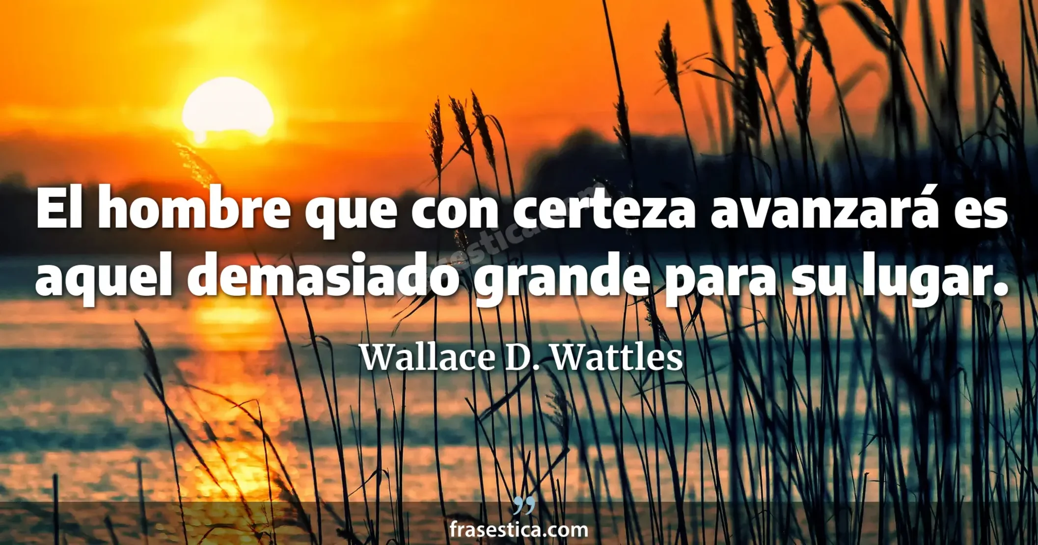 El hombre que con certeza avanzará es aquel demasiado grande para su lugar. - Wallace D. Wattles