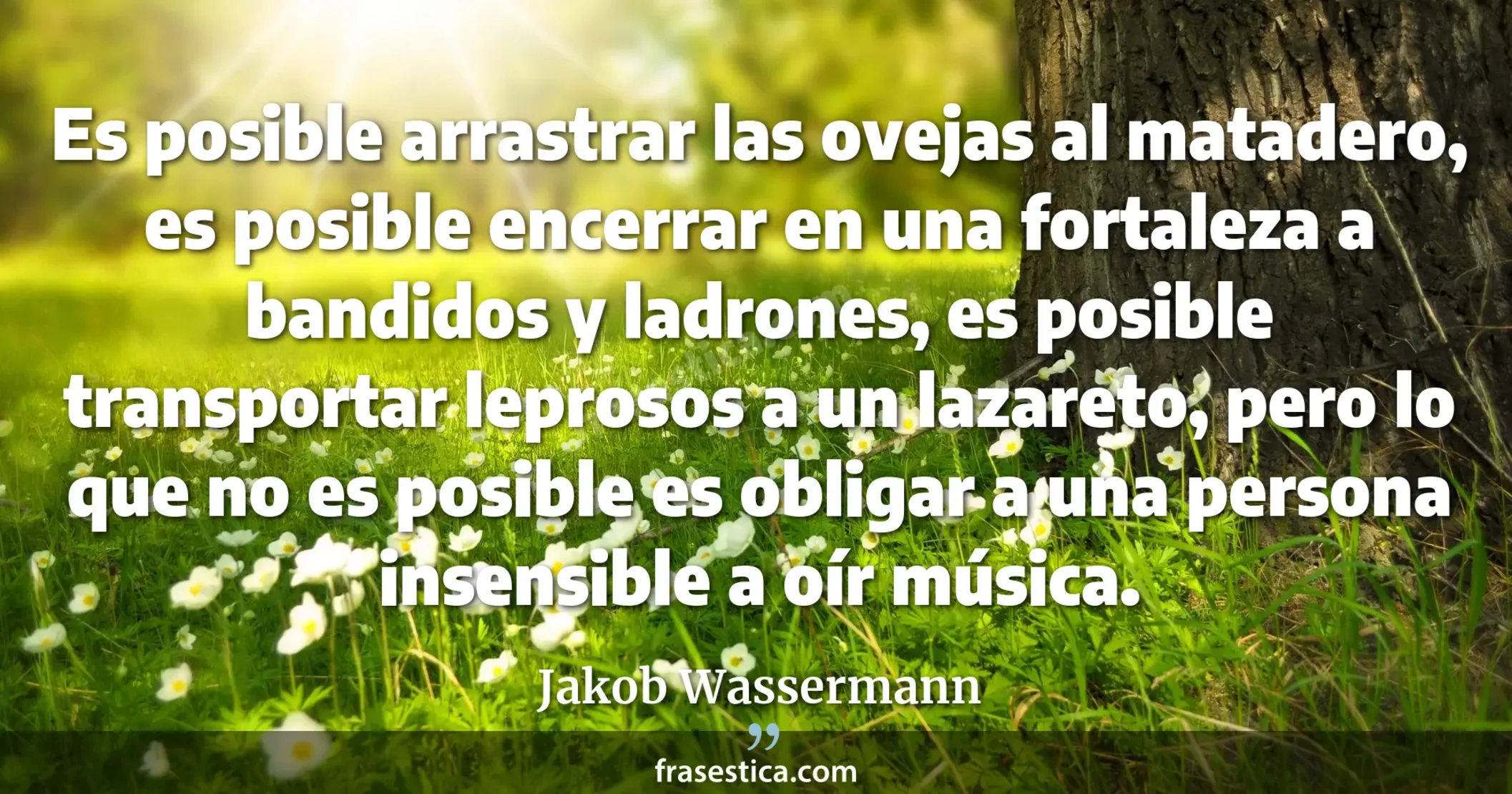 Es posible arrastrar las ovejas al matadero, es posible encerrar en una fortaleza a bandidos y ladrones, es posible transportar leprosos a un lazareto, pero lo que no es posible es obligar a una persona insensible a oír música. - Jakob Wassermann
