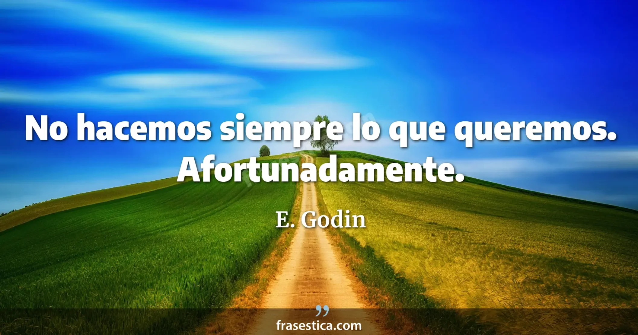 No hacemos siempre lo que queremos. Afortunadamente. - E. Godin