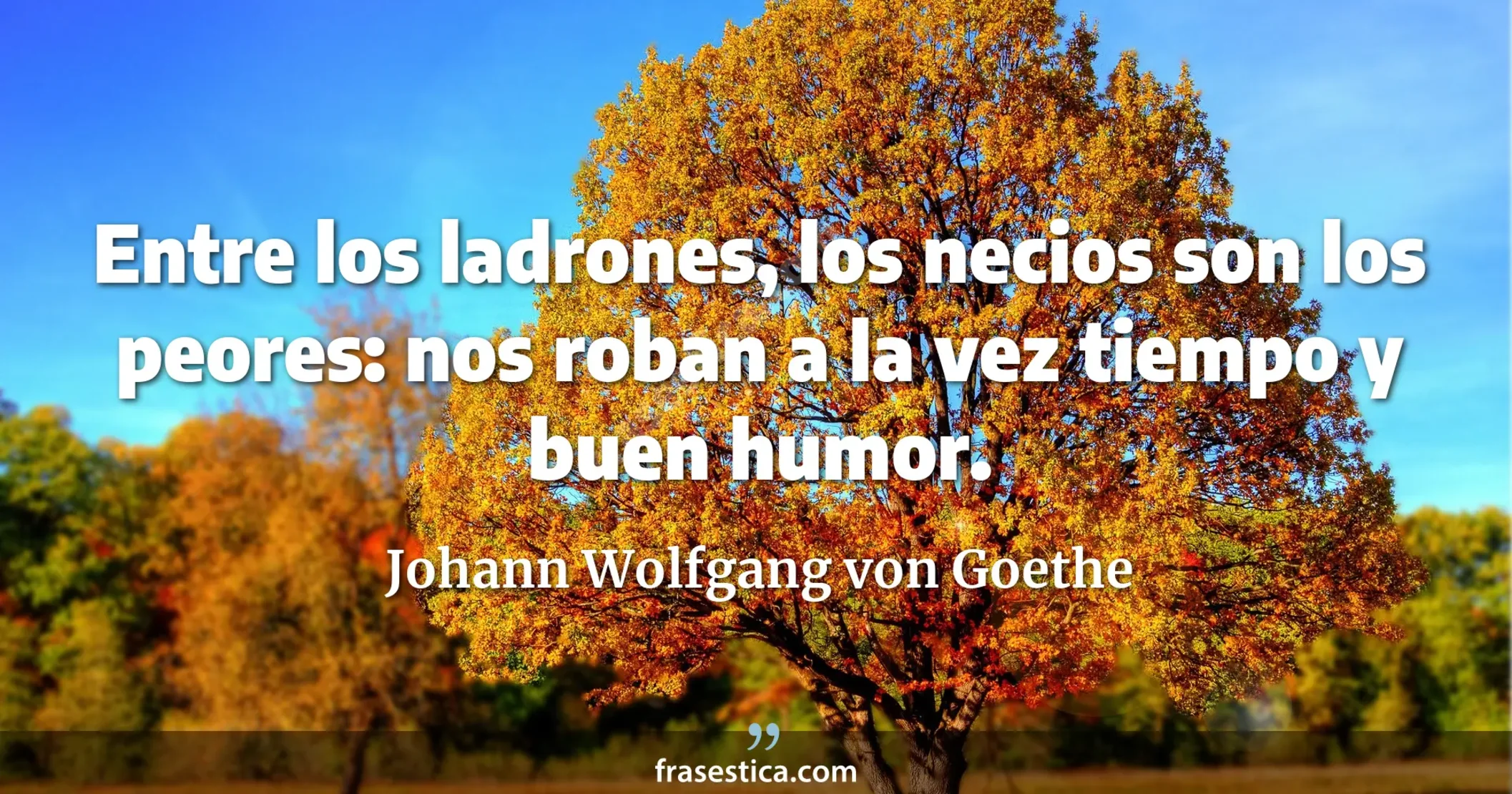 Entre los ladrones, los necios son los peores: nos roban a la vez tiempo y buen humor. - Johann Wolfgang von Goethe
