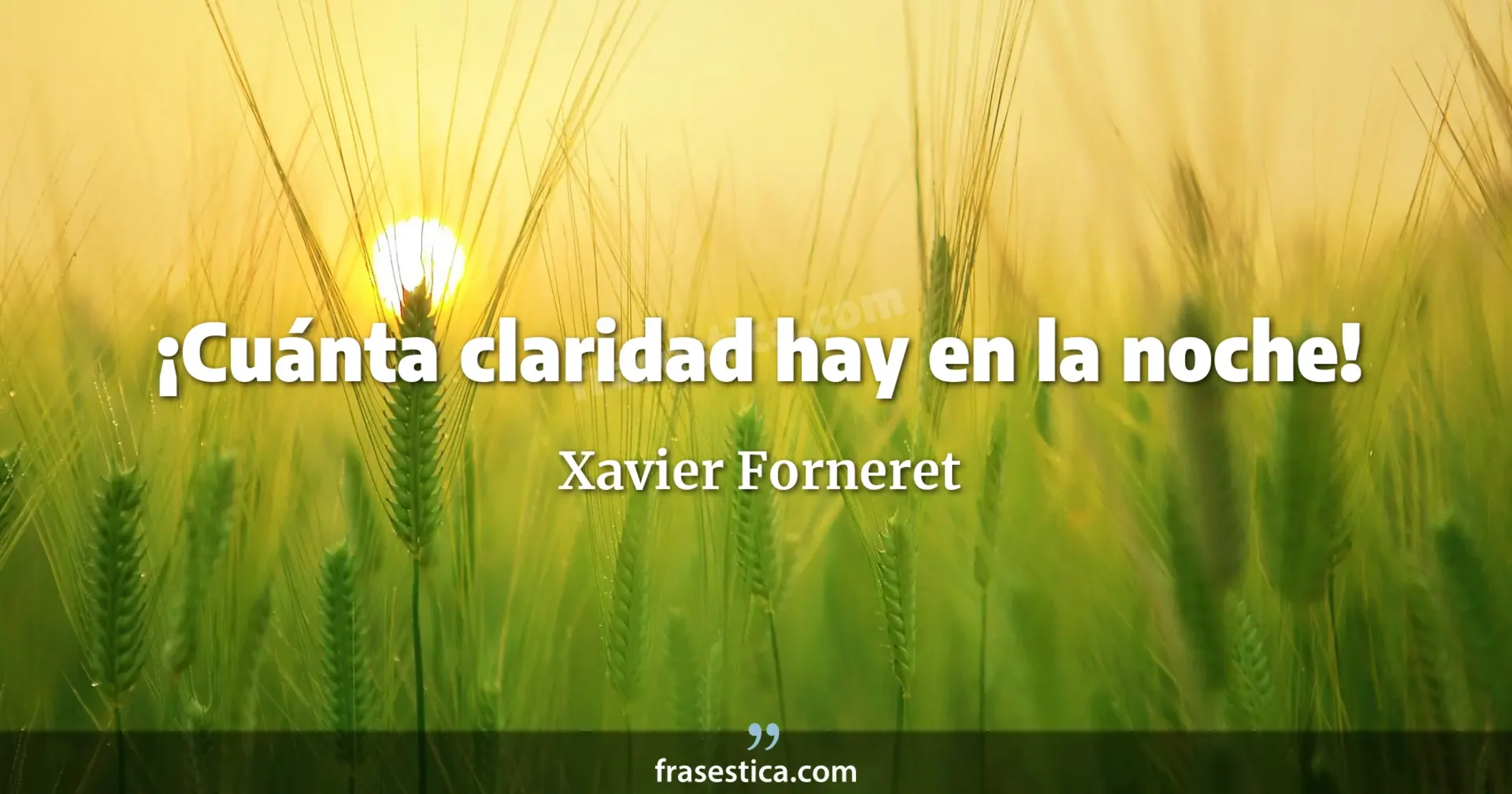 ¡Cuánta claridad hay en la noche! - Xavier Forneret