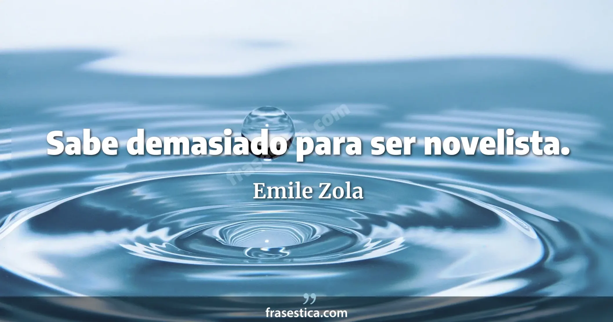 Sabe demasiado para ser novelista. - Emile Zola