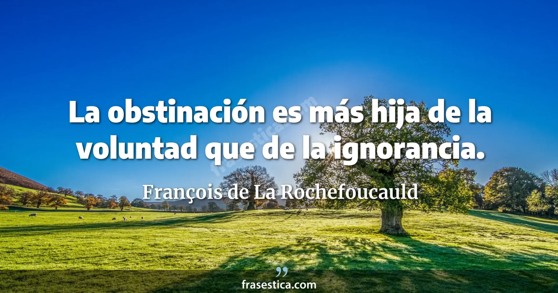 La obstinación es más hija de la voluntad que de la ignorancia. - François de La Rochefoucauld