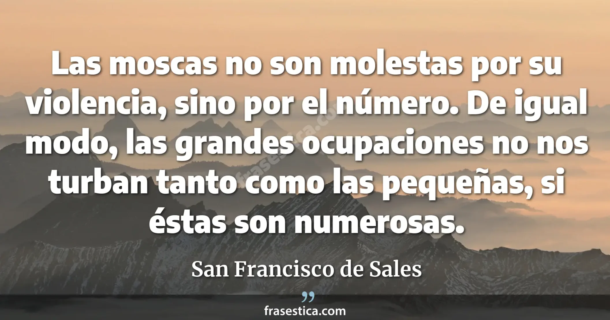 Las moscas no son molestas por su violencia, sino por el número. De igual modo, las grandes ocupaciones no nos turban tanto como las pequeñas, si éstas son numerosas. - San Francisco de Sales