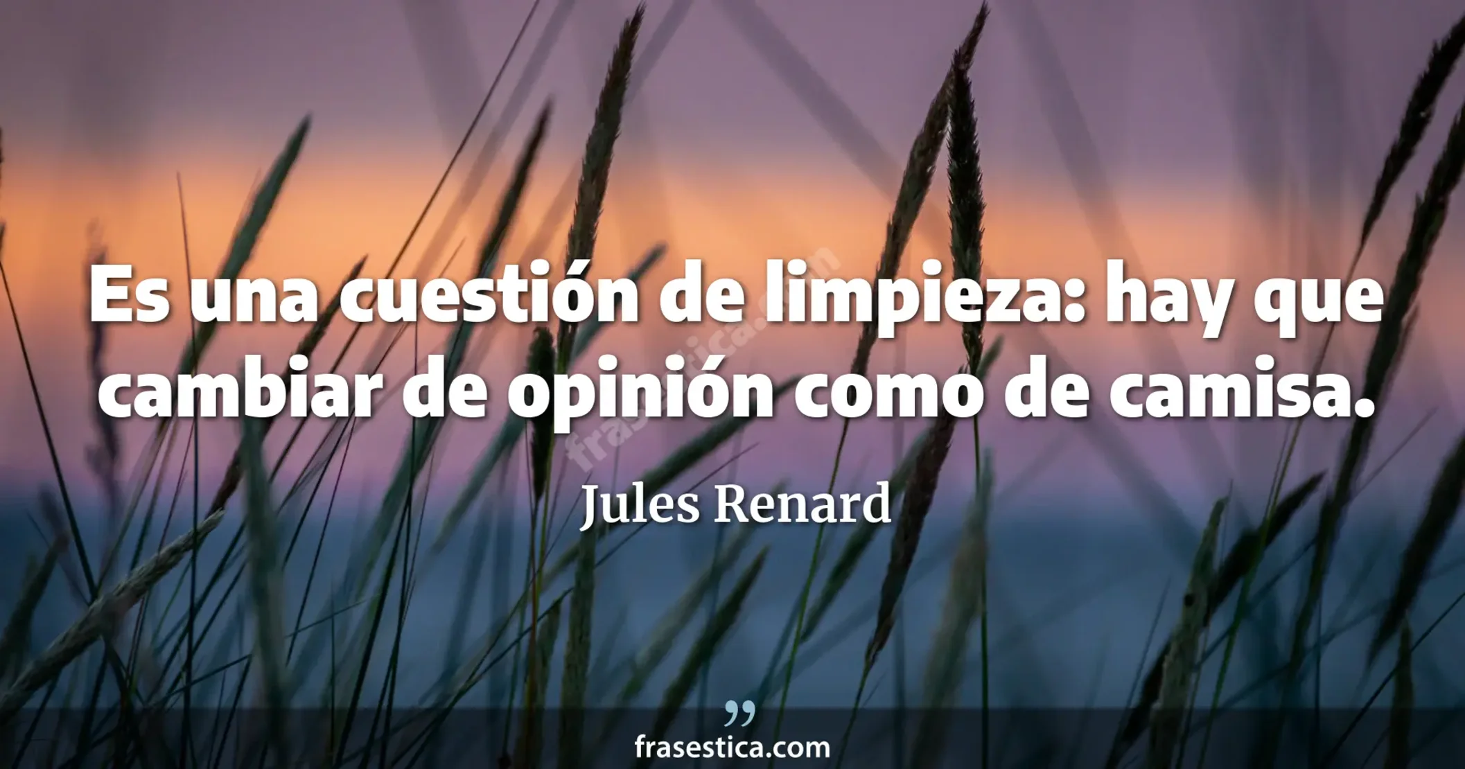 Es una cuestión de limpieza: hay que cambiar de opinión como de camisa.  - Jules Renard