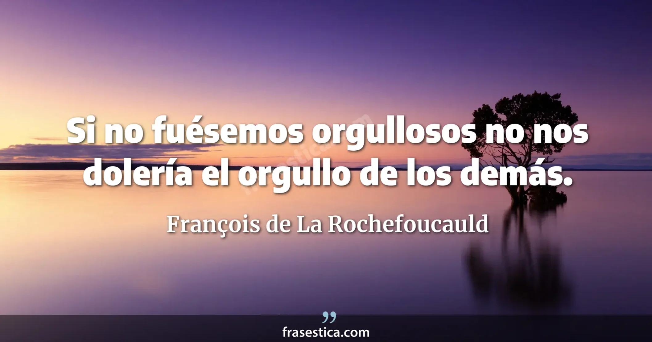 Si no fuésemos orgullosos no nos dolería el orgullo de los demás.  - François de La Rochefoucauld