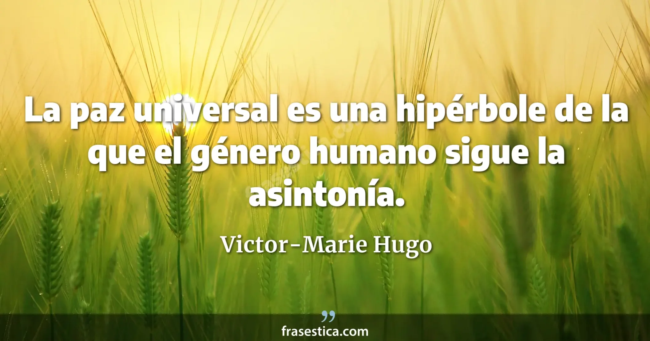 La paz universal es una hipérbole de la que el género humano sigue la asintonía. - Victor-Marie Hugo