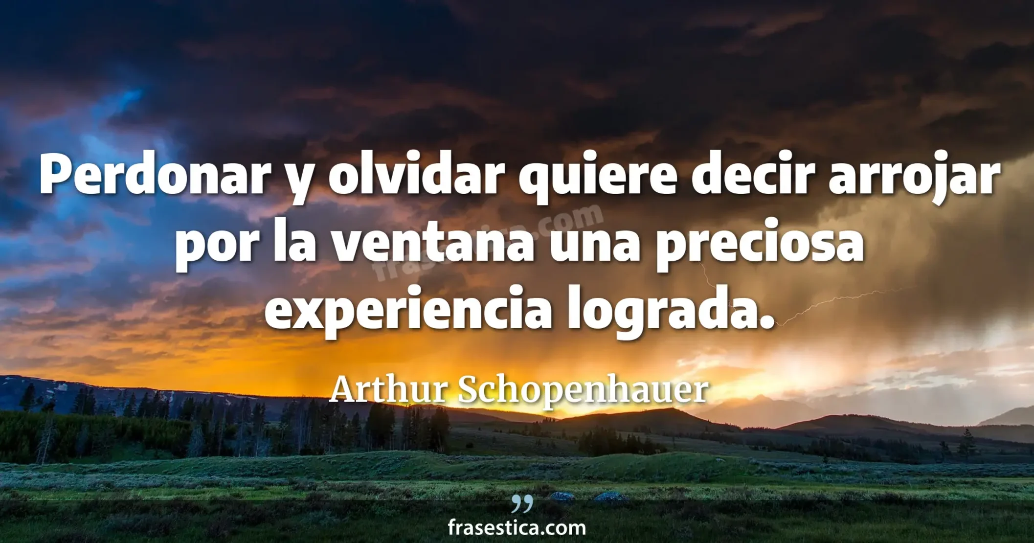 Perdonar y olvidar quiere decir arrojar por la ventana una preciosa experiencia lograda. - Arthur Schopenhauer