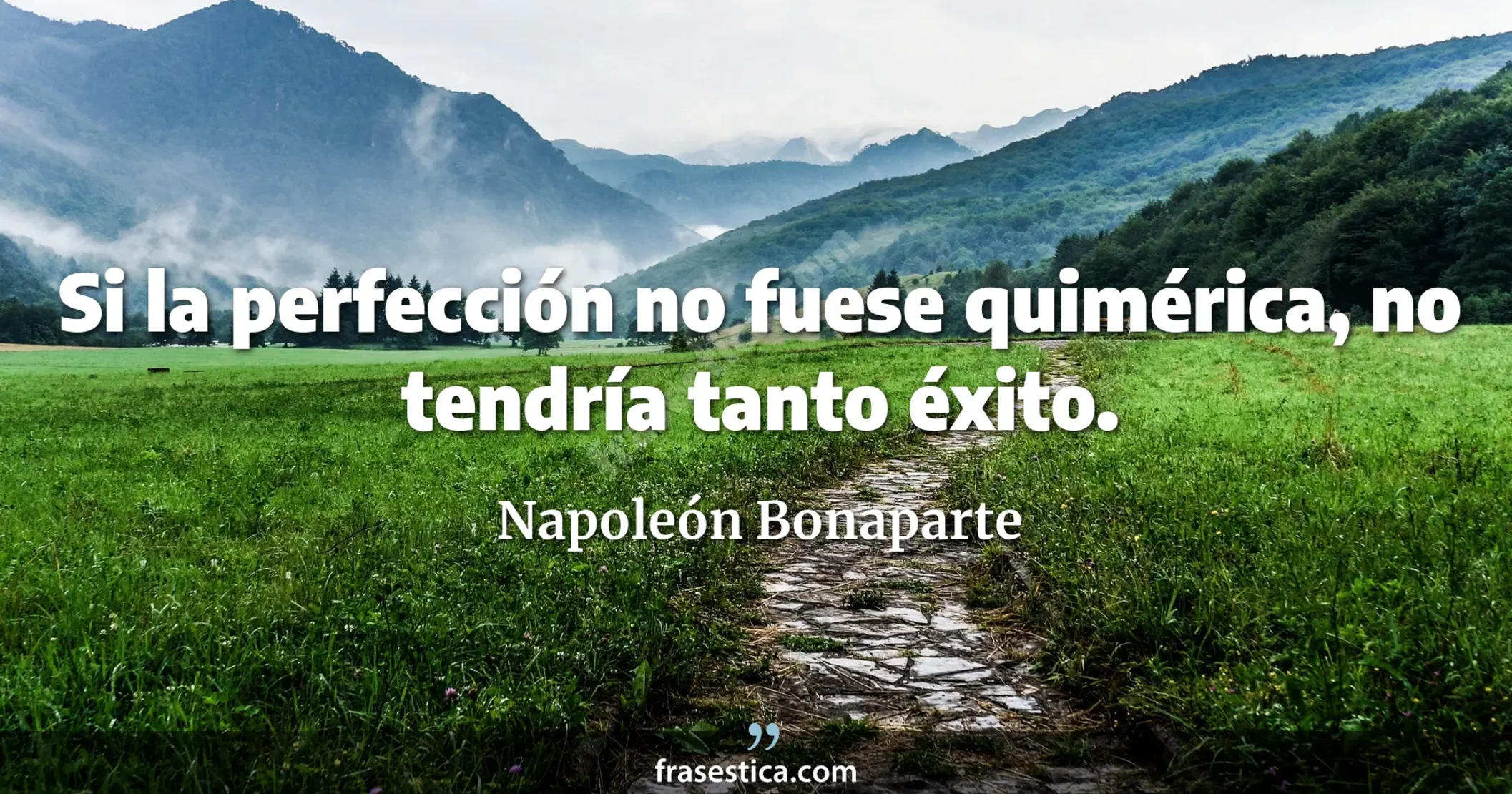 Si la perfección no fuese quimérica, no tendría tanto éxito. - Napoleón Bonaparte