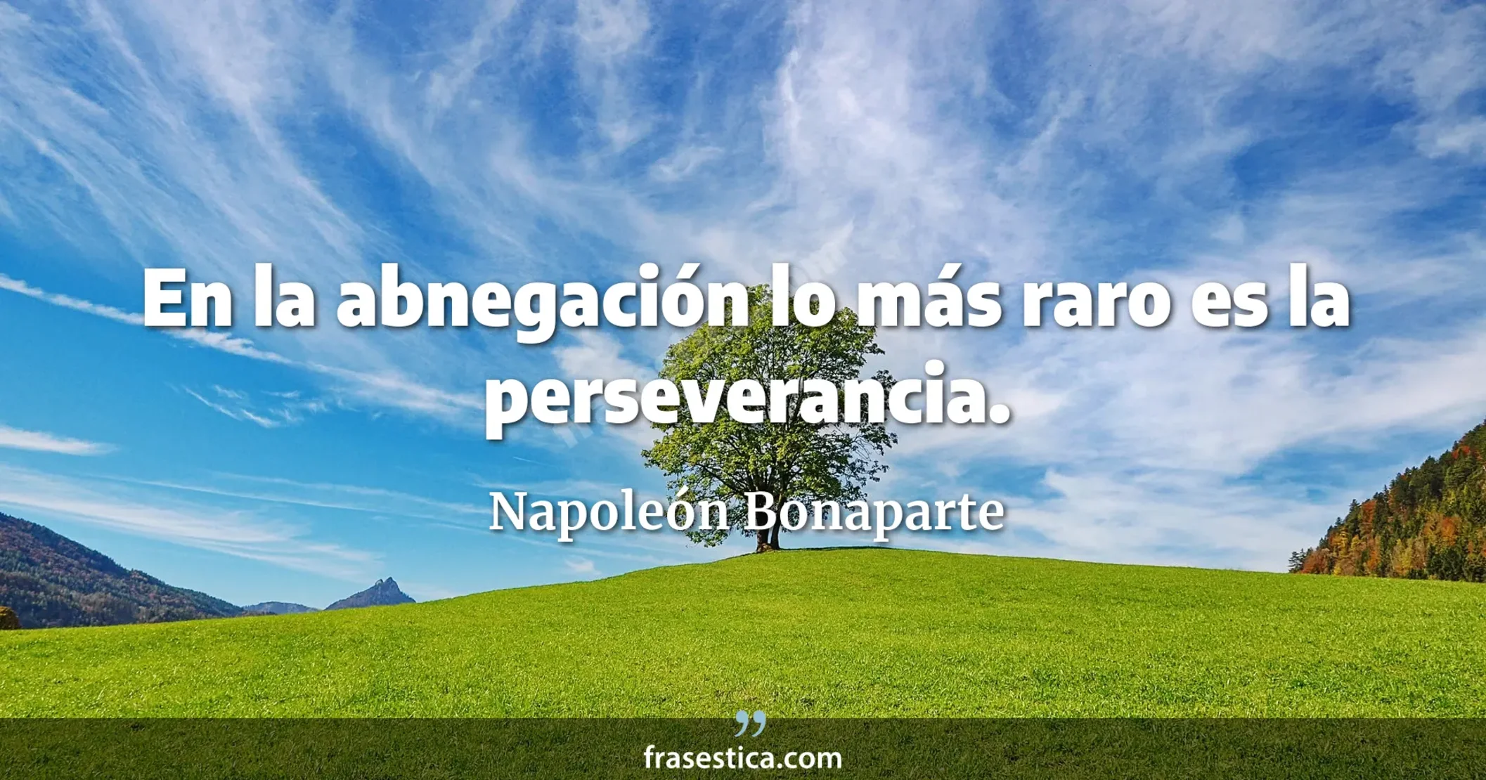 En la abnegación lo más raro es la perseverancia. - Napoleón Bonaparte