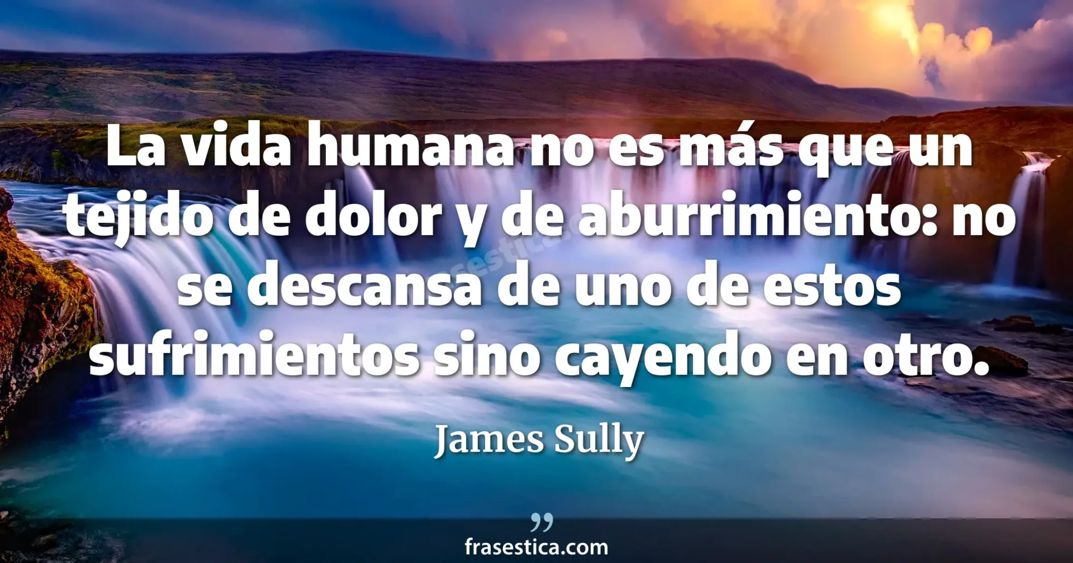 La vida humana no es más que un tejido de dolor y de aburrimiento: no se descansa de uno de estos sufrimientos sino cayendo en otro. - James Sully