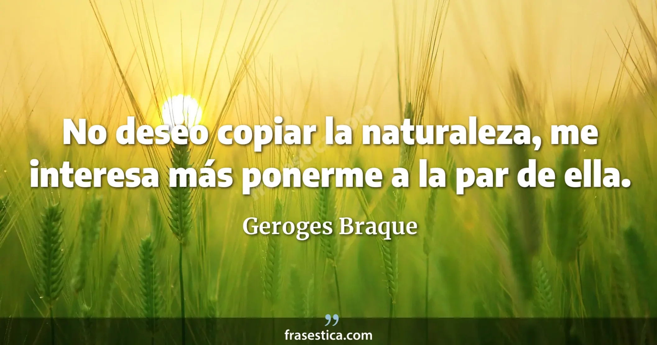 No deseo copiar la naturaleza, me interesa más ponerme a la par de ella. - Geroges Braque