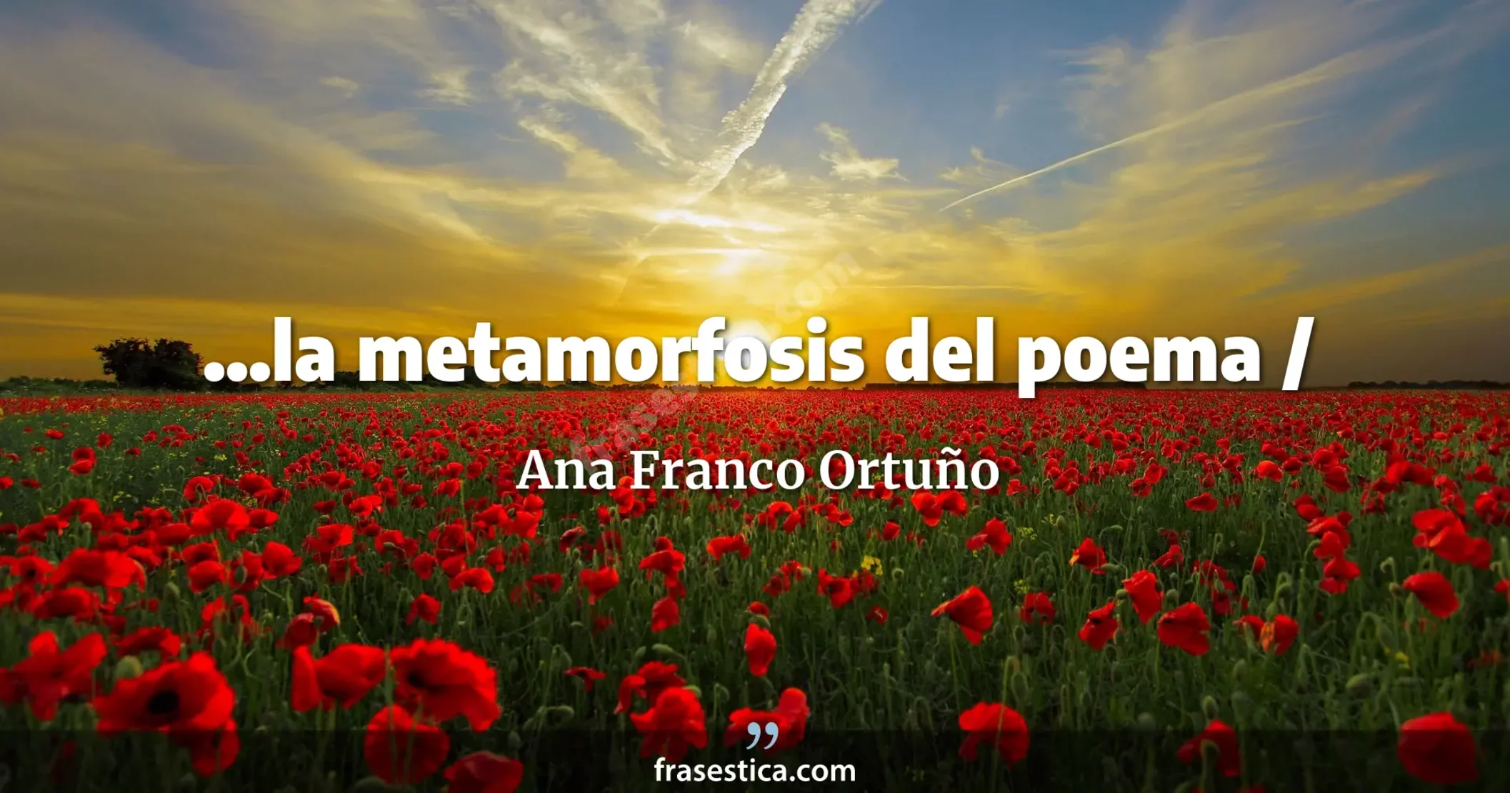 ...la metamorfosis del poema / - Ana Franco Ortuño
