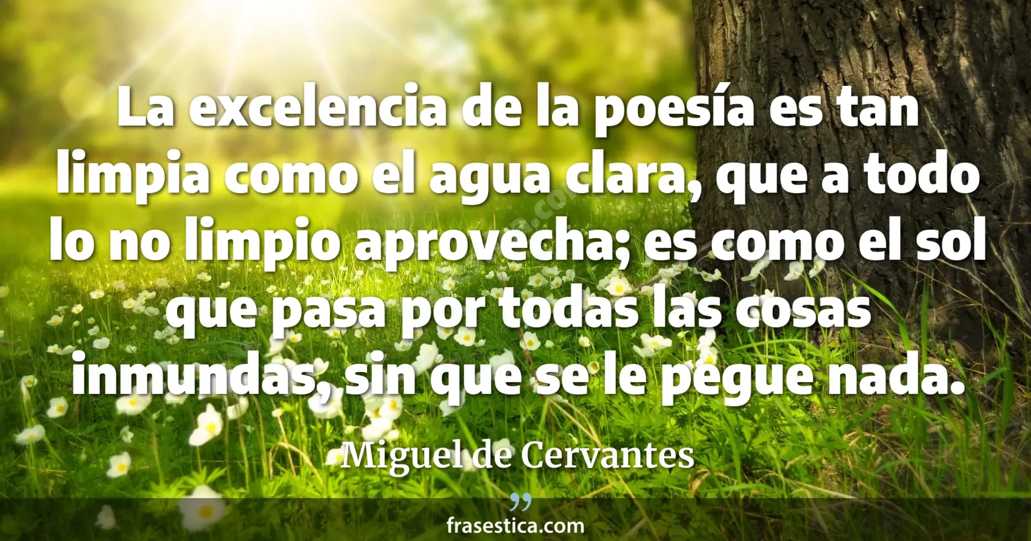 La excelencia de la poesía es tan limpia como el agua clara, que a todo lo no limpio aprovecha; es como el sol que pasa por todas las cosas inmundas, sin que se le pegue nada. - Miguel de Cervantes