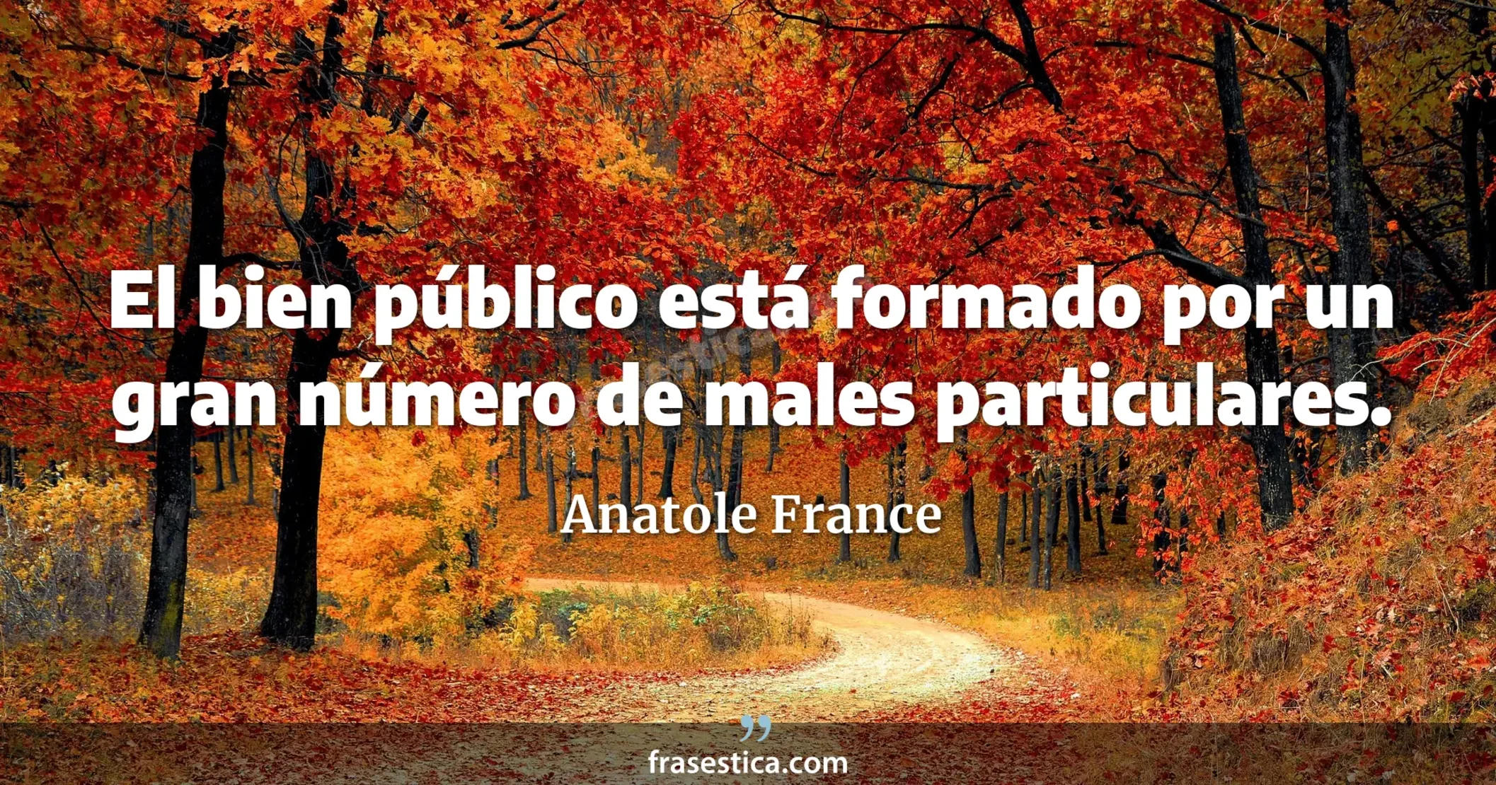 El bien público está formado por un gran número de males particulares. - Anatole France