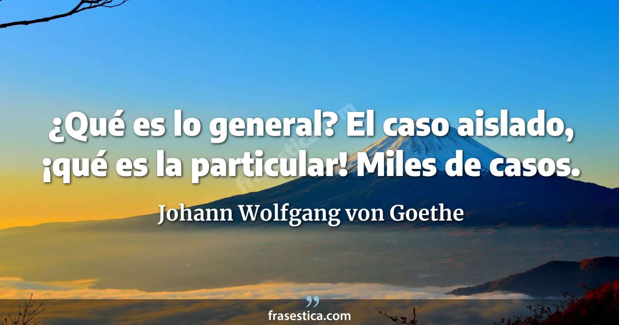 ¿Qué es lo general? El caso aislado, ¡qué es la particular! Miles de casos. - Johann Wolfgang von Goethe