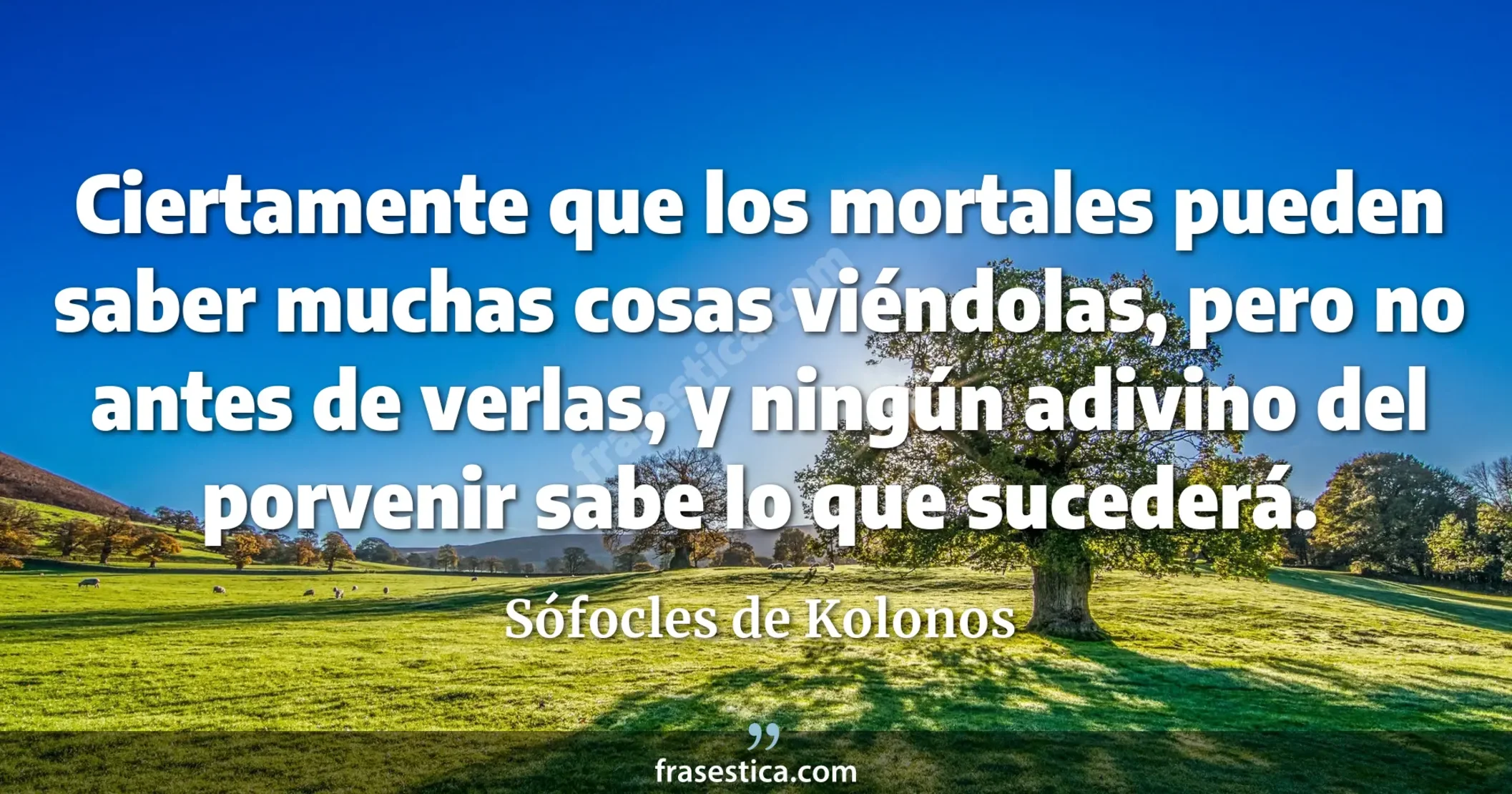 Ciertamente que los mortales pueden saber muchas cosas viéndolas, pero no antes de verlas, y ningún adivino del porvenir sabe lo que sucederá. - Sófocles de Kolonos