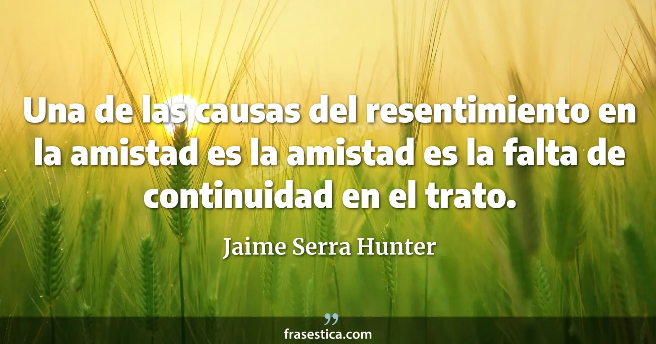 Una de las causas del resentimiento en la amistad es la amistad es la falta de continuidad en el trato. - Jaime Serra Hunter