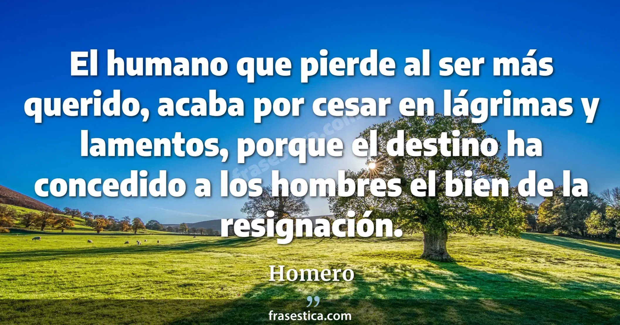 El humano que pierde al ser más querido, acaba por cesar en lágrimas y lamentos, porque el destino ha concedido a los hombres el bien de la resignación. - Homero