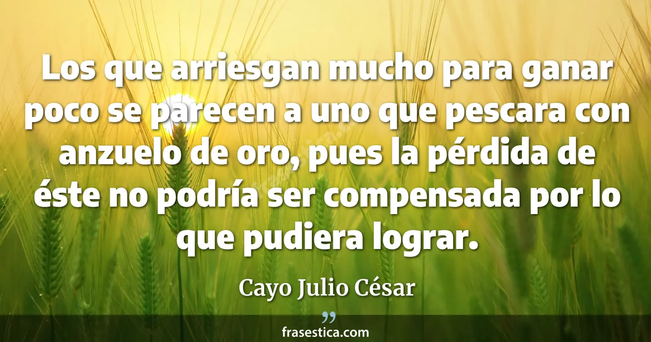Los que arriesgan mucho para ganar poco se parecen a uno que pescara con anzuelo de oro, pues la pérdida de éste no podría ser compensada por lo que pudiera lograr. - Cayo Julio César