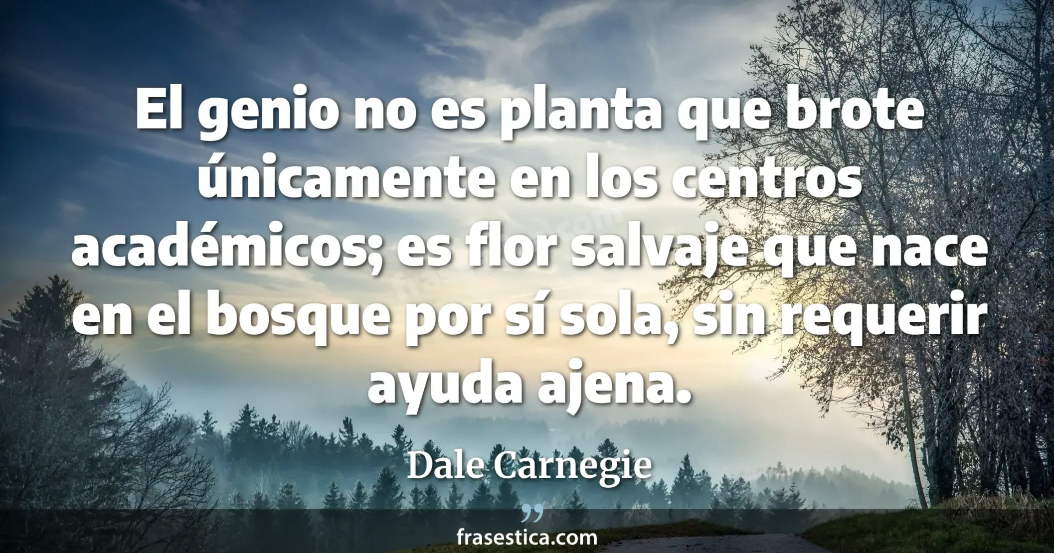 El genio no es planta que brote únicamente en los centros académicos; es flor salvaje que nace en el bosque por sí sola, sin requerir ayuda ajena. - Dale Carnegie