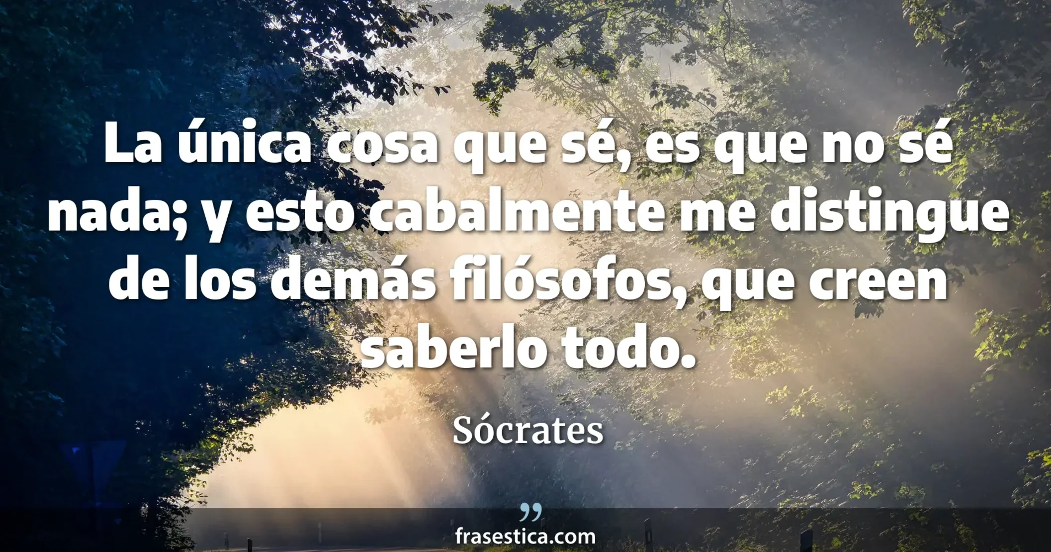 La única cosa que sé, es que no sé nada; y esto cabalmente me distingue de los demás filósofos, que creen saberlo todo. - Sócrates