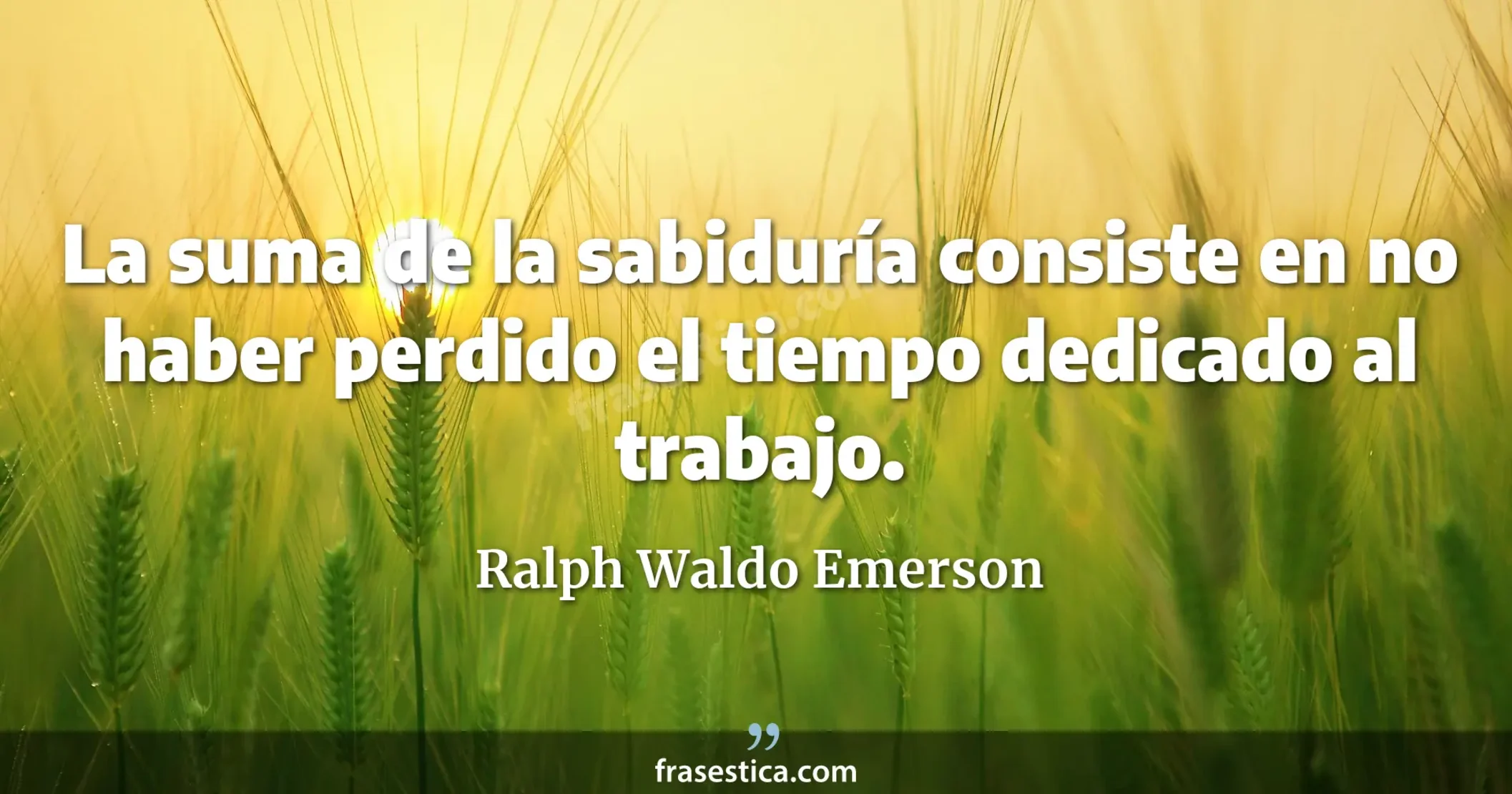 La suma de la sabiduría consiste en no haber perdido el tiempo dedicado al trabajo. - Ralph Waldo Emerson