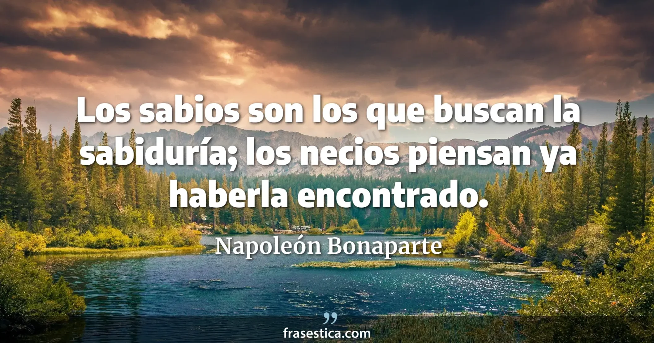 Los sabios son los que buscan la sabiduría; los necios piensan ya haberla encontrado. - Napoleón Bonaparte