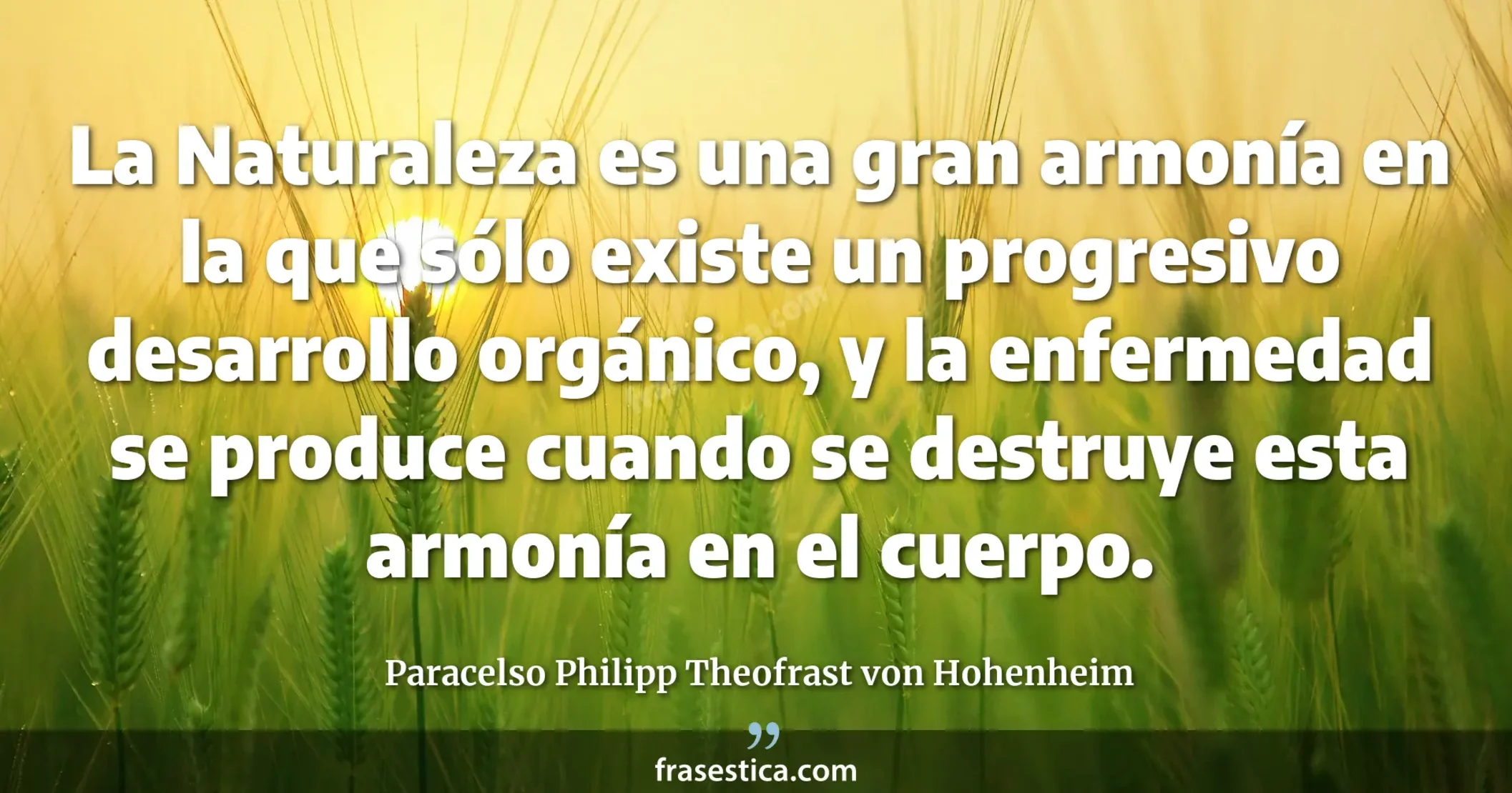 La Naturaleza es una gran armonía en la que sólo existe un progresivo desarrollo orgánico, y la enfermedad se produce cuando se destruye esta armonía en el cuerpo. - Paracelso Philipp Theofrast von Hohenheim