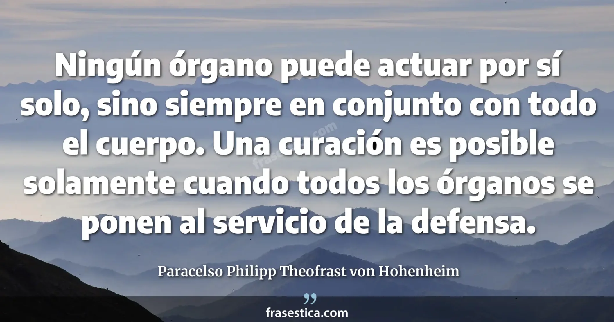 Ningún órgano puede actuar por sí solo, sino siempre en conjunto con todo el cuerpo. Una curación es posible solamente cuando todos los órganos se ponen al servicio de la defensa. - Paracelso Philipp Theofrast von Hohenheim