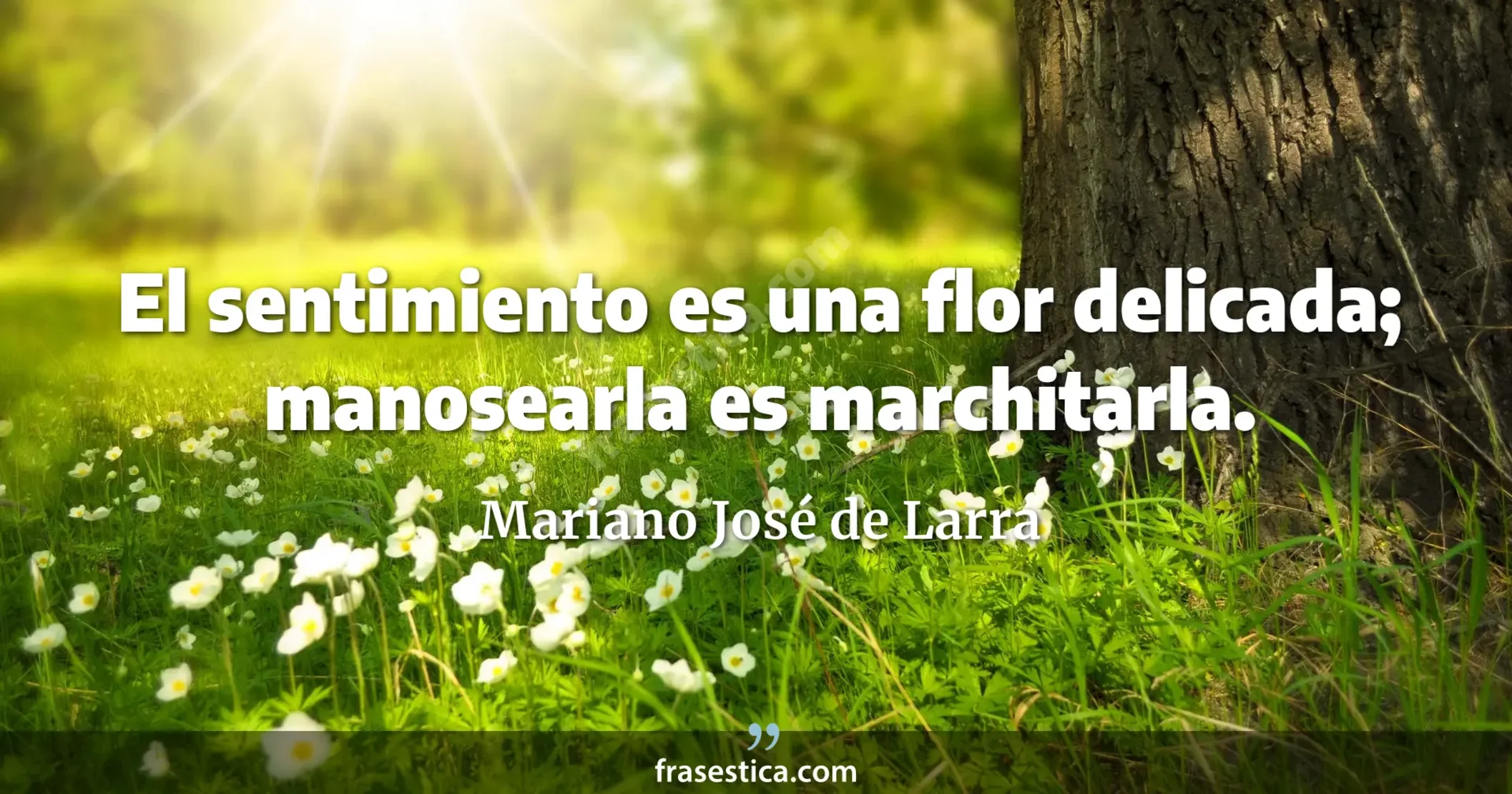 El sentimiento es una flor delicada; manosearla es marchitarla. - Mariano José de Larra