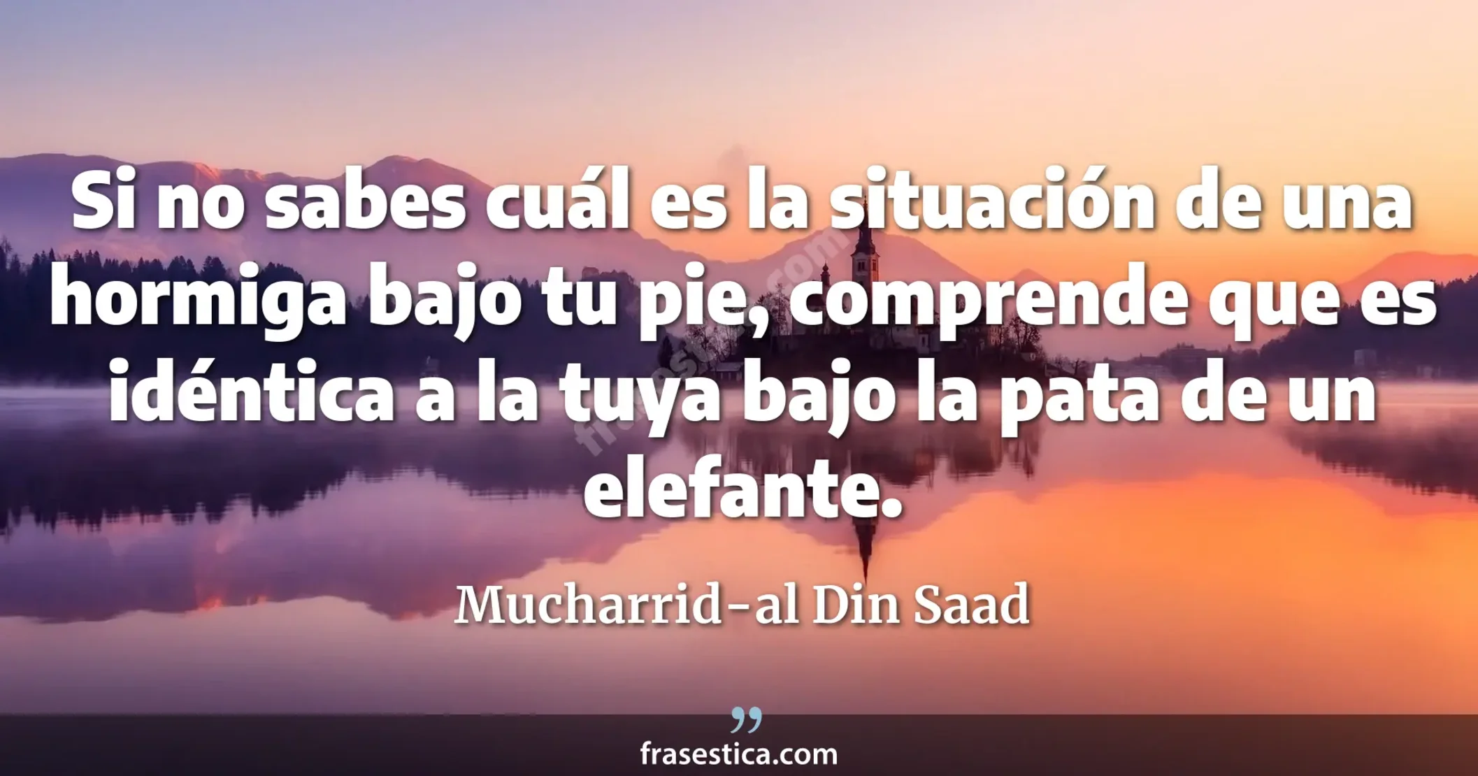 Si no sabes cuál es la situación de una hormiga bajo tu pie, comprende que es idéntica a la tuya bajo la pata de un elefante. - Mucharrid-al Din Saad