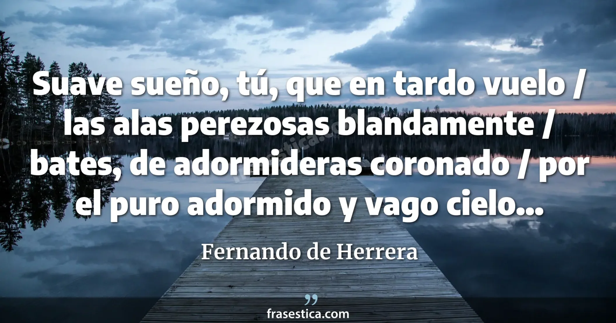 Suave sueño, tú, que en tardo vuelo / las alas perezosas blandamente / bates, de adormideras coronado / por el puro adormido y vago cielo... - Fernando de Herrera