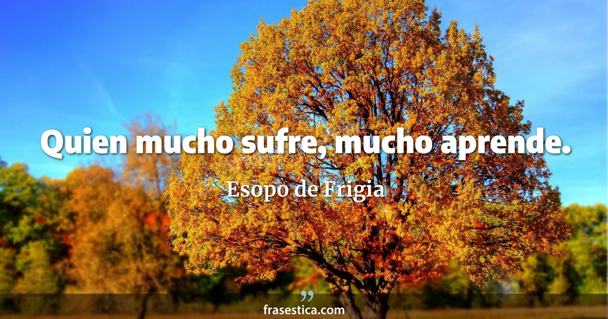 Quien mucho sufre, mucho aprende. - Esopo de Frigia