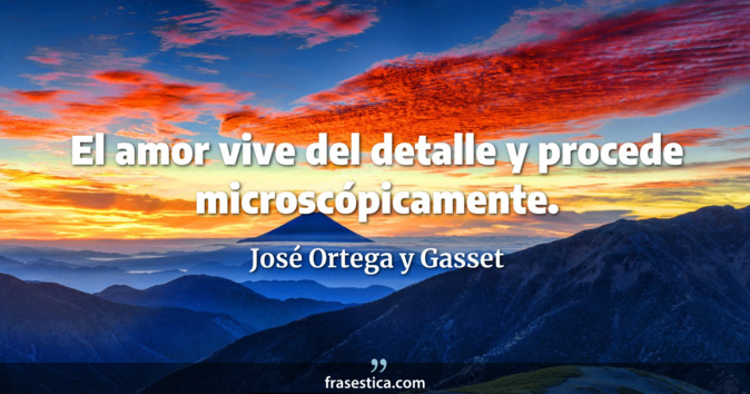 El amor vive del detalle y procede microscópicamente. - José Ortega y Gasset