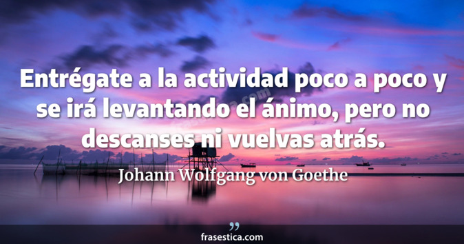 Entrégate a la actividad poco a poco y se irá levantando el ánimo, pero no descanses ni vuelvas atrás. - Johann Wolfgang von Goethe