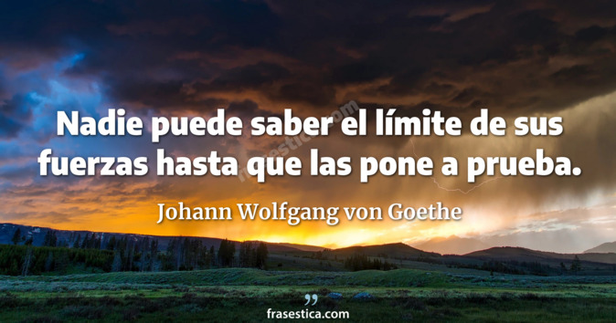 Nadie puede saber el límite de sus fuerzas hasta que las pone a prueba. - Johann Wolfgang von Goethe