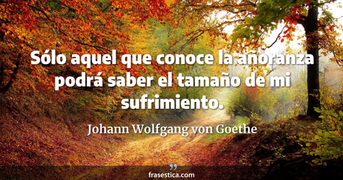 Sólo aquel que conoce la añoranza podrá saber el tamaño de mi sufrimiento. - Johann Wolfgang von Goethe