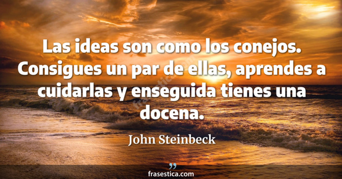 Las ideas son como los conejos. Consigues un par de ellas, aprendes a cuidarlas y enseguida tienes una docena. - John Steinbeck