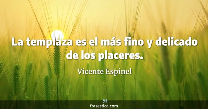 Cita de Vicente Espinel