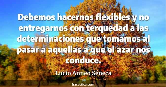 Cita de Lucio Anneo Séneca