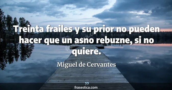Cita de Miguel de Cervantes
