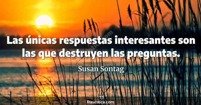 Cita de Susan Sontag