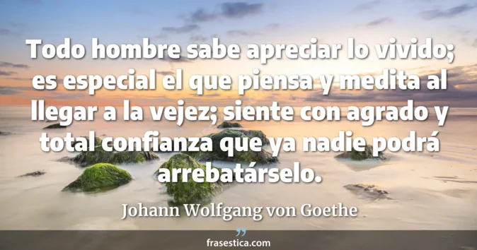 Cita de Johann Wolfgang von Goethe