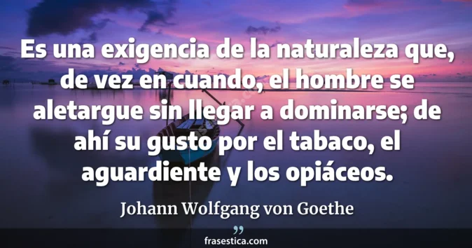 Cita de Johann Wolfgang von Goethe